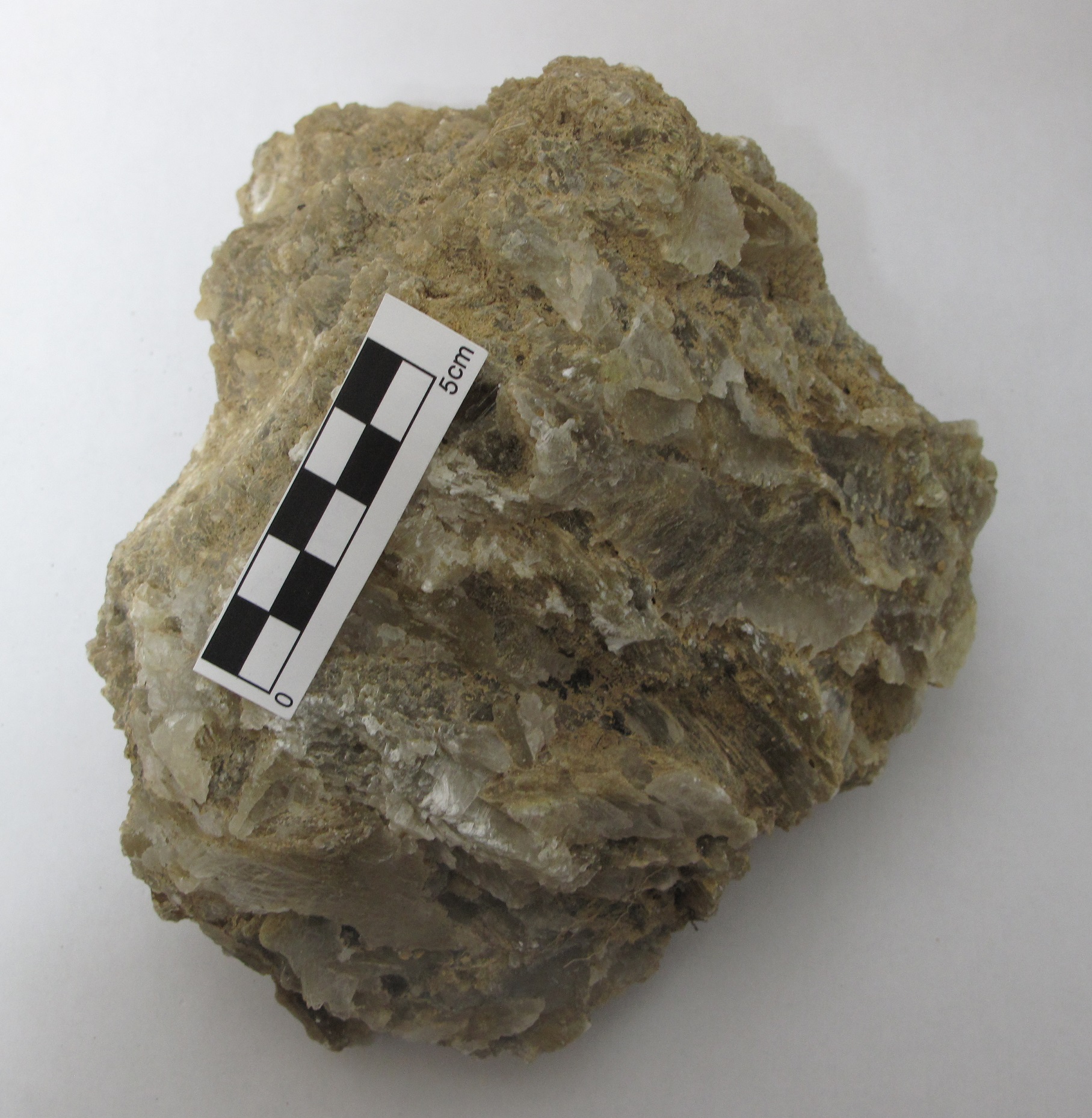 Ejemplo de TEXTURA CRISTALINA. Roca Sedimentaria Química Evaporítica.