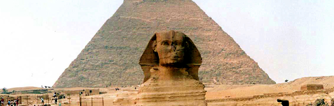 piramides y camello