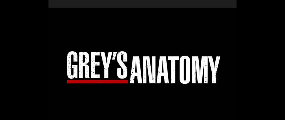 Grey's Anatomy (Anatomía de Grey)