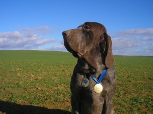 536689_106271252843089_1317656162_n