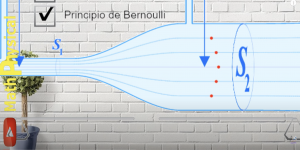 Bernouilli