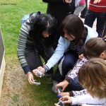 3-estudiantes_facultad_educacion_sa_spain-web